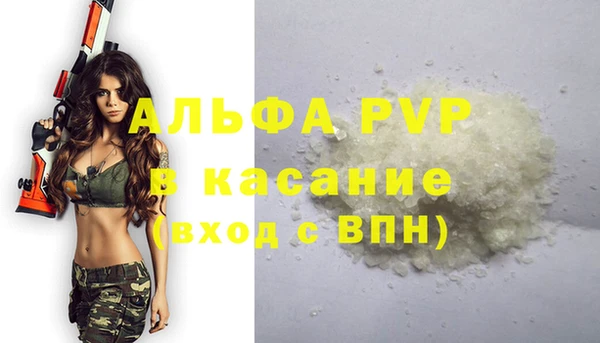 сатива Волосово