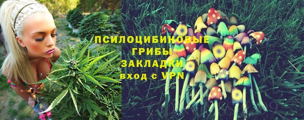 дживик Волоколамск