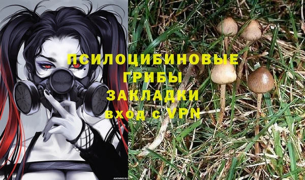 сатива Вязьма