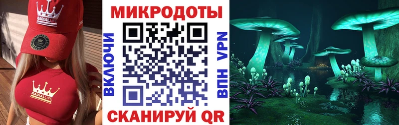 Купить  Конаково  Псилоцибиновые грибы прущие грибы 